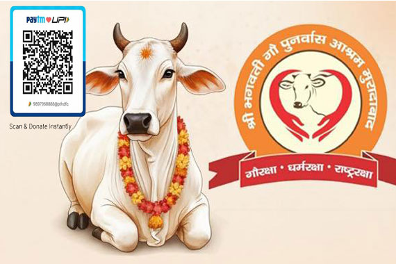 Donate for Cow Feeding & Gau Seva