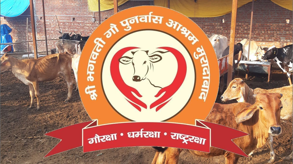 बुज़ुर्ग और दुर्घटना ग्रस्थ गौ वंश का आश्रय स्थल