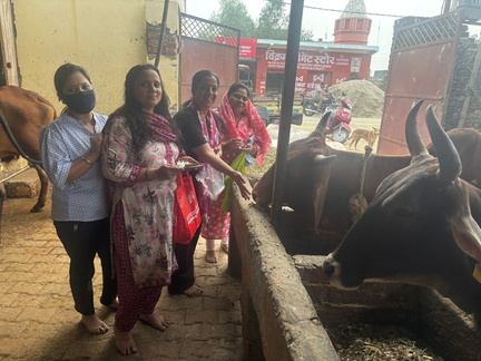 WhatsApp Image 2025-11-08 at 6.03.32 PM (1)