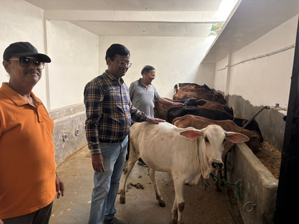 WhatsApp Image 2025-11-08 at 6.03.32 PM (3)