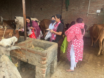 WhatsApp Image 2025-11-08 at 6.03.32 PM