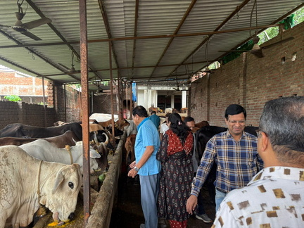 WhatsApp Image 2025-11-08 at 6.03.33 PM