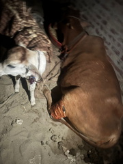 WhatsApp Image 2025-11-08 at 6.03.41 PM