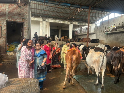 WhatsApp Image 2025-11-08 at 6.03.59 PM (1)