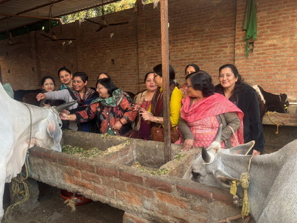 WhatsApp Image 2025-11-08 at 6.03.59 PM