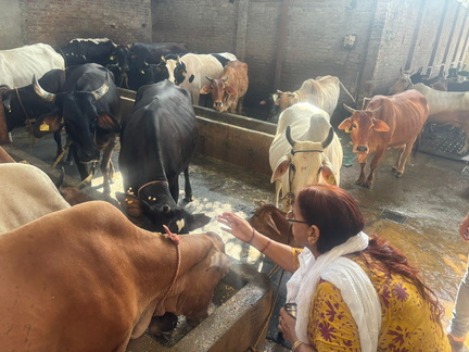 WhatsApp Image 2025-11-08 at 6.04.09 PM (1)